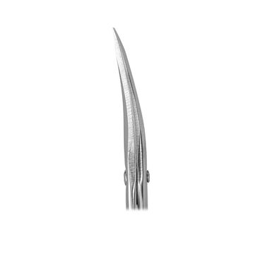 Ножиці для нігтів матові STALEKS BEAUTY & CARE 10 TYPE 2 (21 мм)