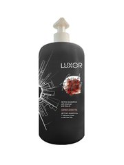 Шампунь LUXOR Professional детокс с черным углем и маслом Чиа 1000 мл, 1000 мл