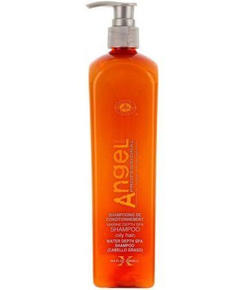 Шампунь для волосся схильного до появи лупи Angel Professional 500 мл A-203-2 - фото Prof-star